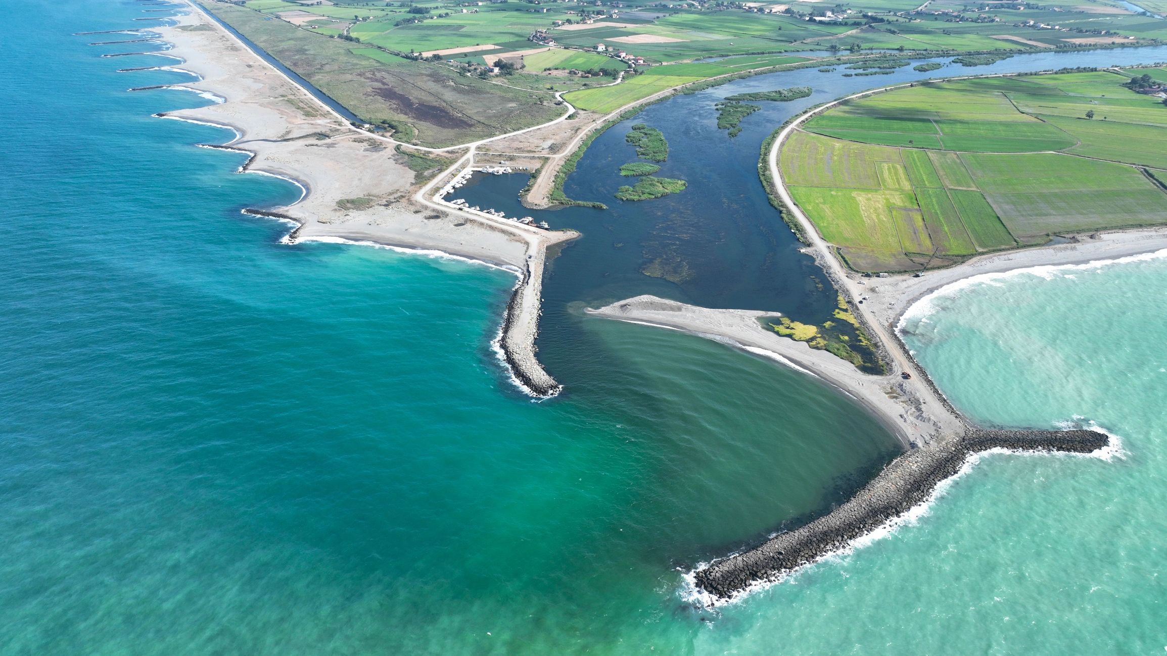 Exploring Coastal Biodiversity: A Guide to Shoreline Ecosystems